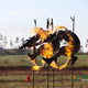 Illustration for article titled Extreme Chinese Military Training